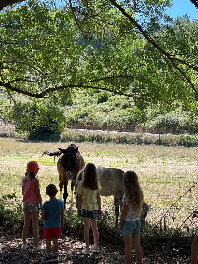 Crianças a realizar atividades outdoor durante o Summer Camp em Cascais